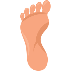 "SOLE" Sponsor - $8,000